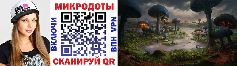 где продают   Набережные Челны  Псилоцибиновые грибы Cubensis 